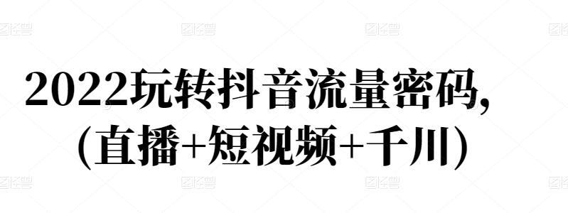 2022玩转抖音流量密码，(直播 短视频 千川)