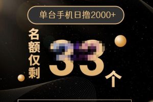 2022年全新口子，手机批量搬砖玩法，一部手机日撸2000