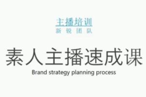 雨婷团队·素人主播两天养成计划,月销千万的直播间脚本手把手教学落地
