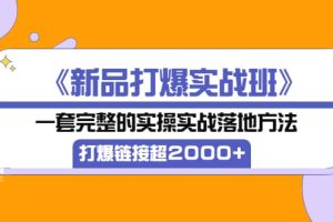 《新品打爆实战班》一套完整的实操实战落地方法，打爆链接超2000 （38节课)