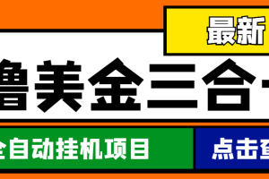 最新国外撸美金三合一全自动挂机项目，单窗口一天2~5美金【脚本 教程】
