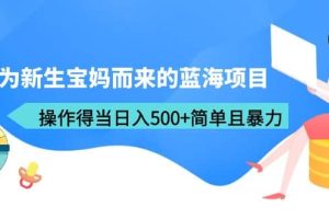 专为新生宝妈而来的蓝海项目，操作得当日入500 简单且暴力（教程 工具）