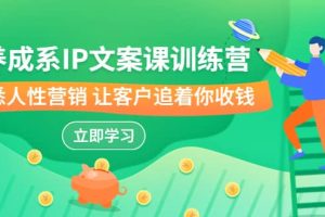 养成系-IP文案课训练营,文案心法的天花板 洞悉人性营销 让客户追着你收钱