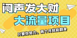 闷声发大财，大流量项目，月收益过3万，只要你努力，两个月就能翻身
