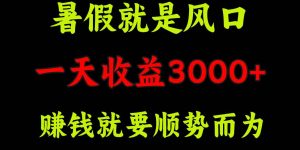 一天收益3000+ 赚钱就是顺势而为，暑假就是风口