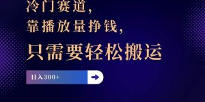 冷门赛道，靠播放量挣钱，只需要轻松搬运，日赚300+